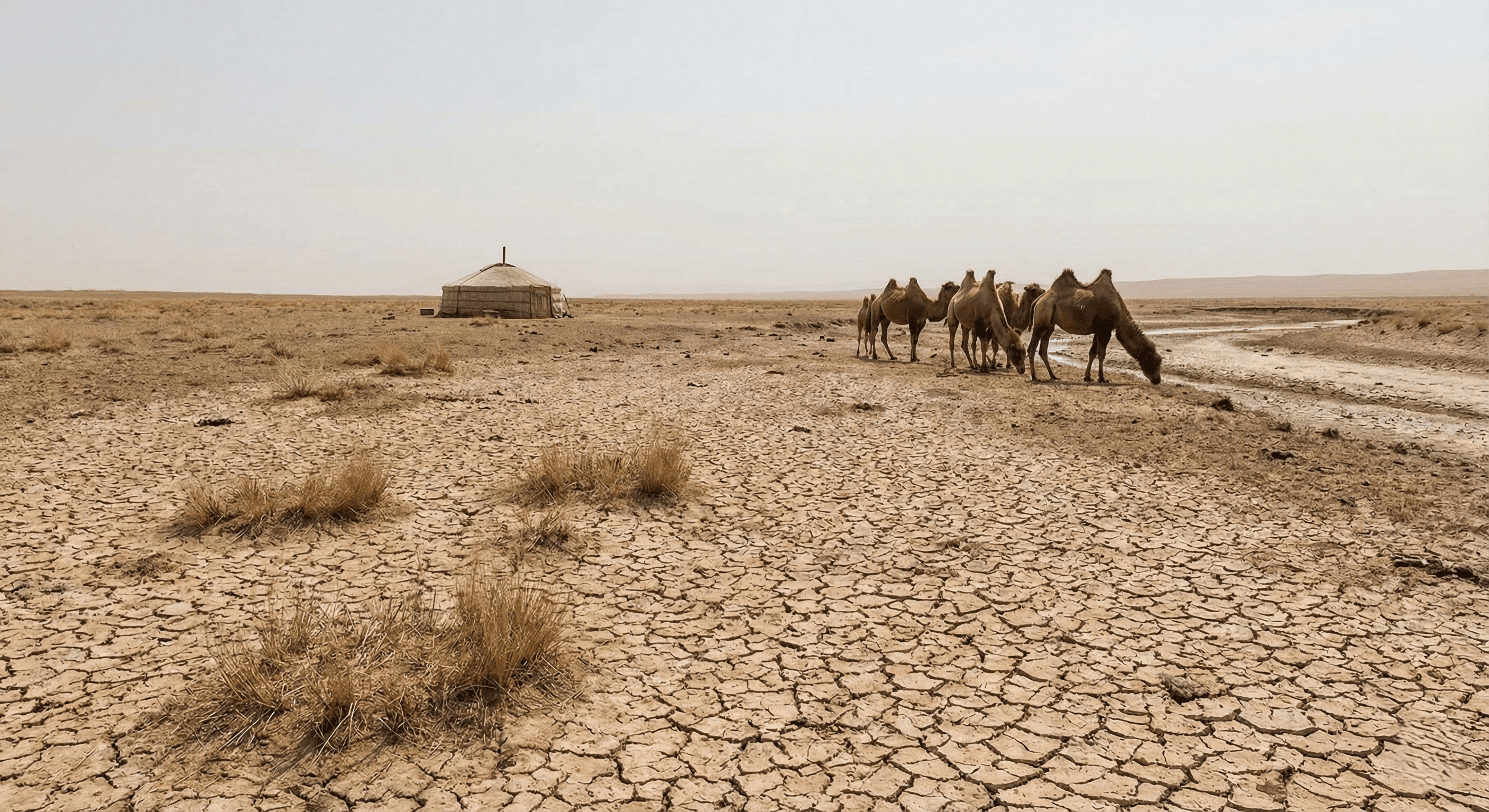 Манай орны 28% нь цөлжилтөд өртсөн байна.