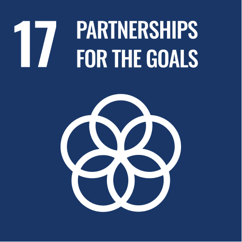 SDG 17: ЗОРИЛГЫН ТӨЛӨӨХ ТҮНШЛЭЛ